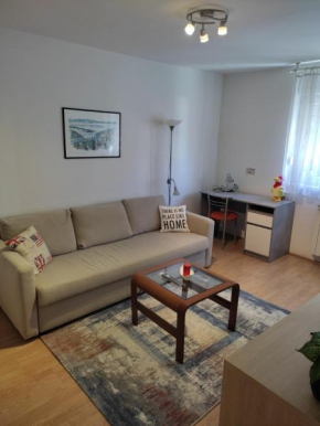 Apartment Astra